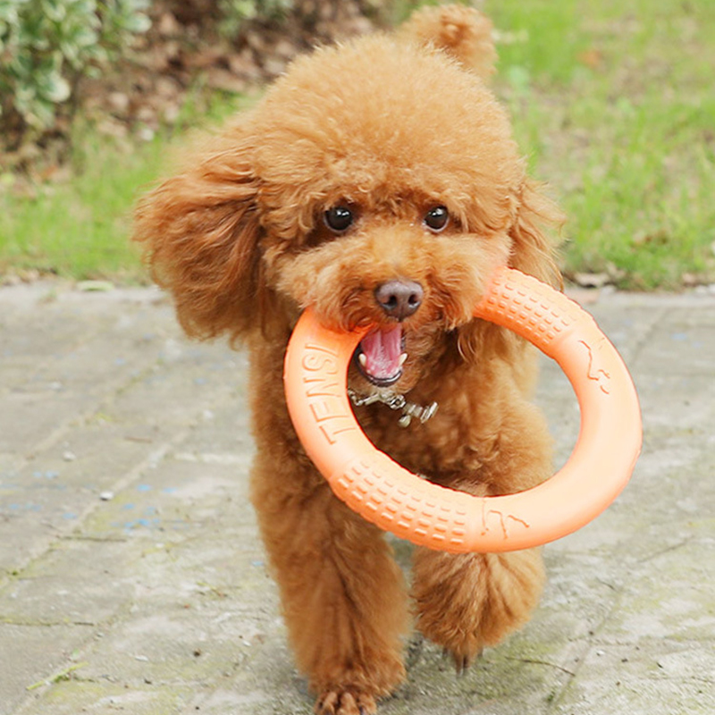 1pc Orange Dog Toys Pet Flying - Flying Disc Dog Training Toy 评论和价格