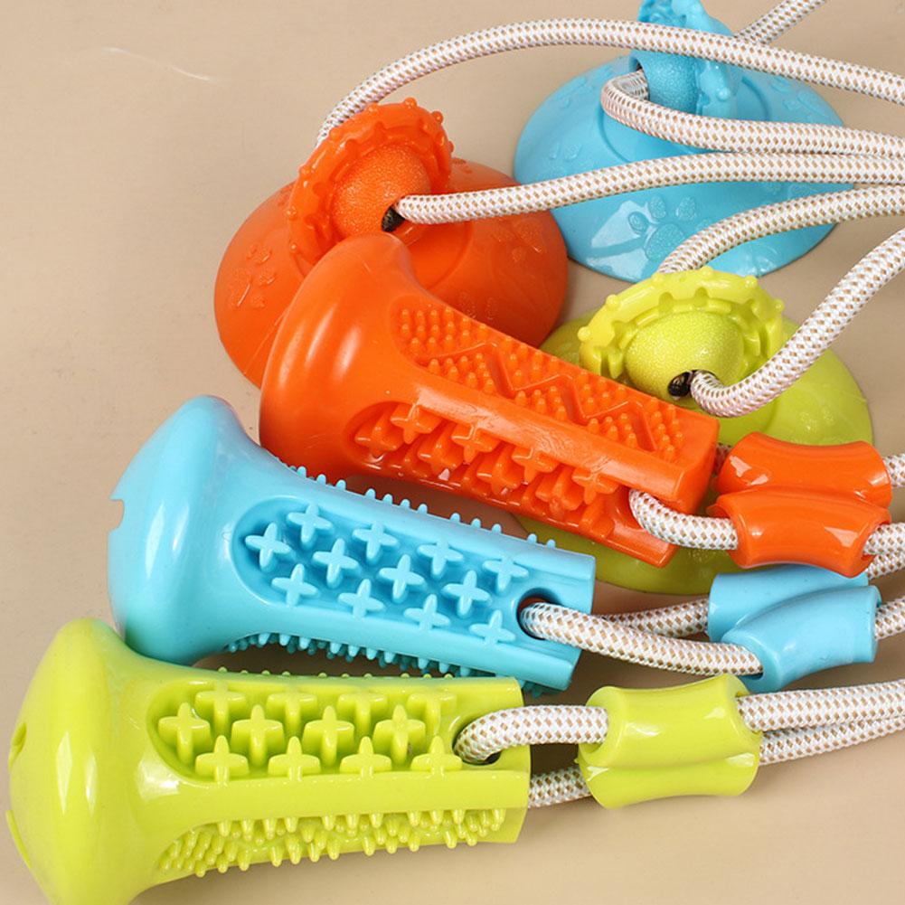 Suction Cup Dog Chew Toy Inter - Suction Cup Dog Tug Toy 评论和价格