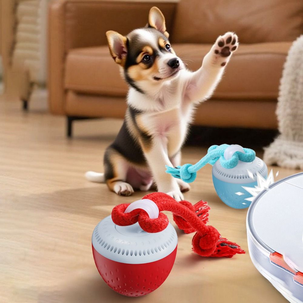 Bite Resistant Smart Pet Toy B - Automatic Moving Dog Ball 评论和价格