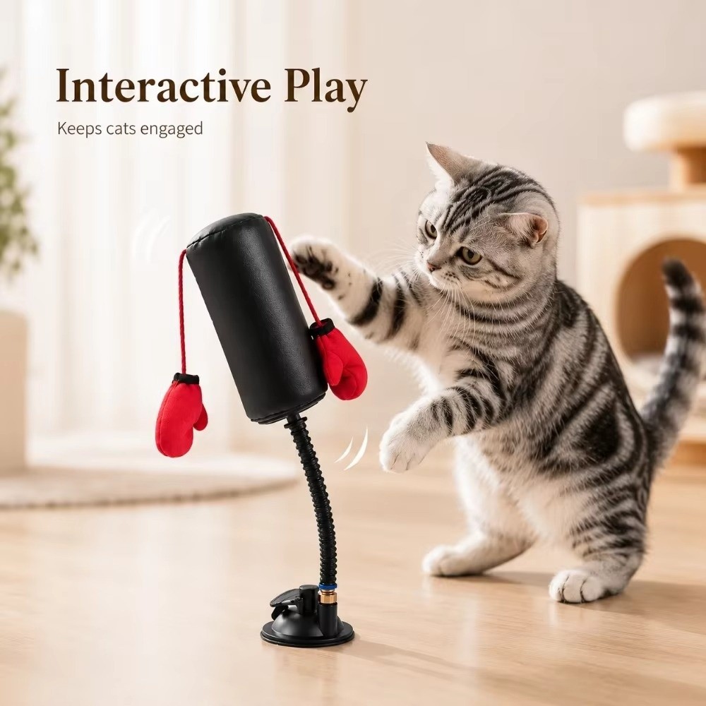 Suction Cup Base Cat Boxing To - Interactive Squeaky Plush Dog Toy 评论和价格