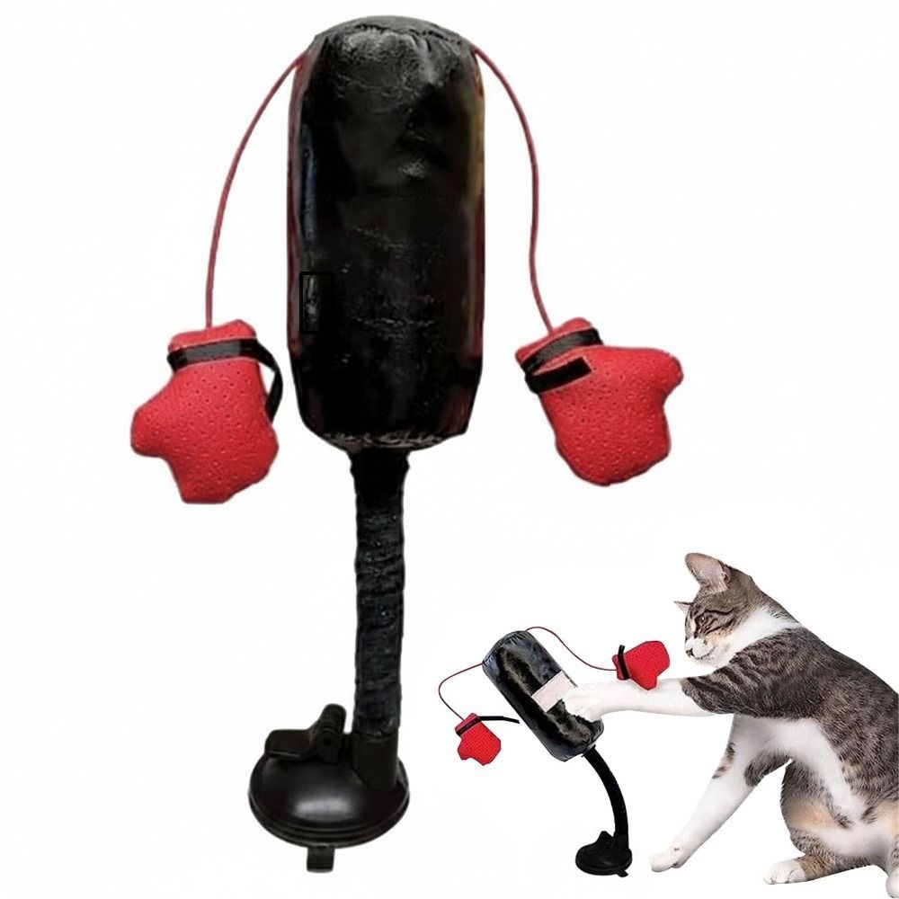 Suction Cup Base Cat Boxing To - Interactive Squeaky Plush Dog Toy 评论和价格