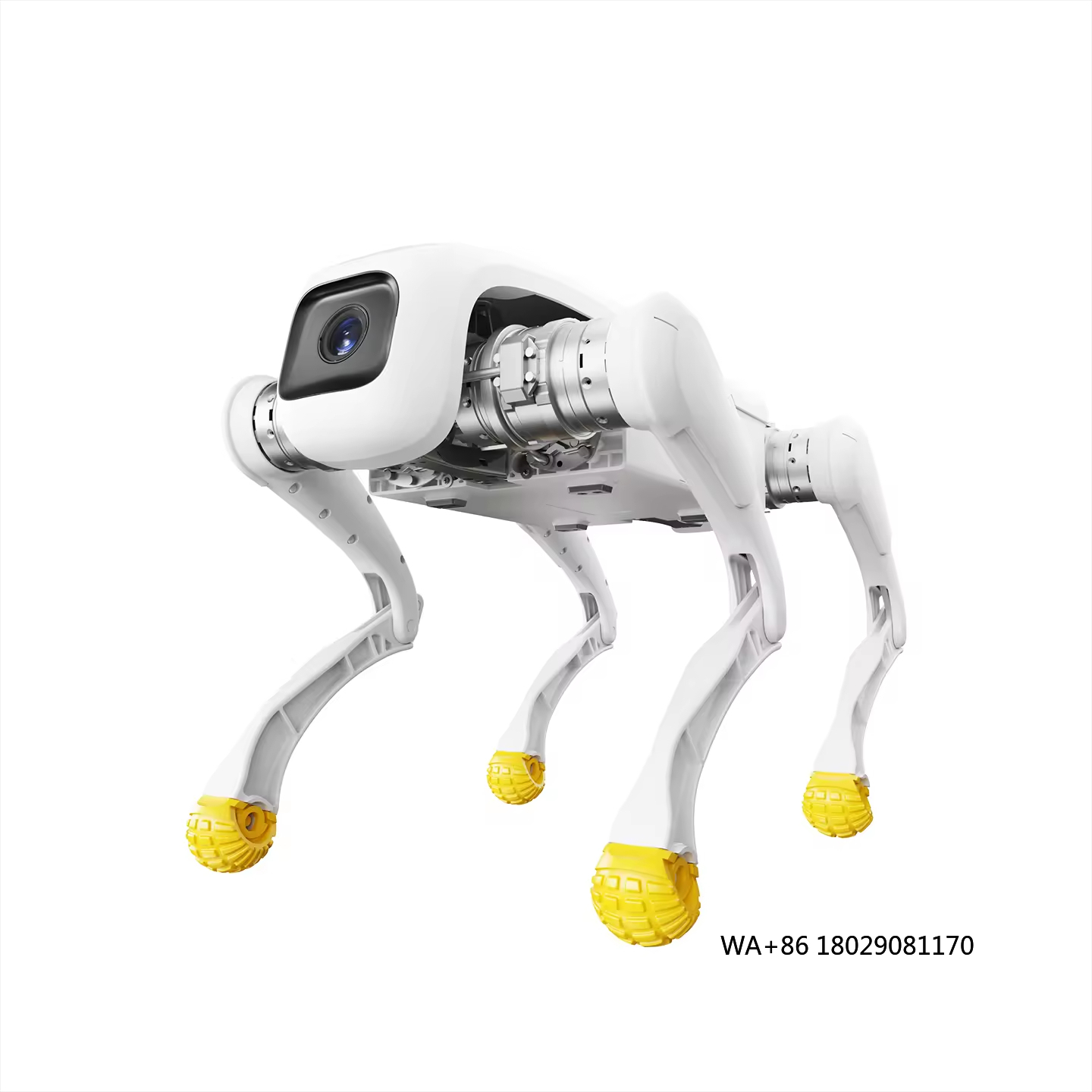 Design Dog Robot AI Electronic - Dog Toys 评论和价格