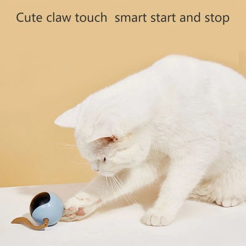 Interactive Cat Ball Toy USB R - Automatic Moving Dog Ball 评论和价格