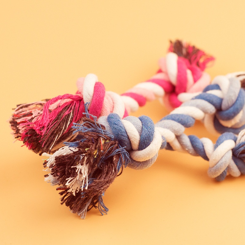Dog Toy Pet Molar Bite-resista - Interactive Squeaky Plush Dog Toy 评论和价格
