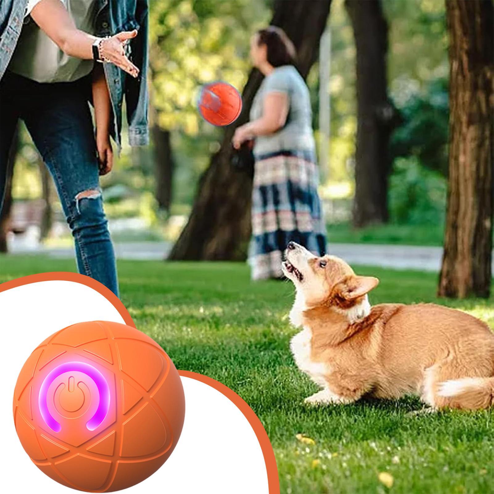 Smart Interactive Dog Toys for - Automatic Moving Dog Ball 评论和价格