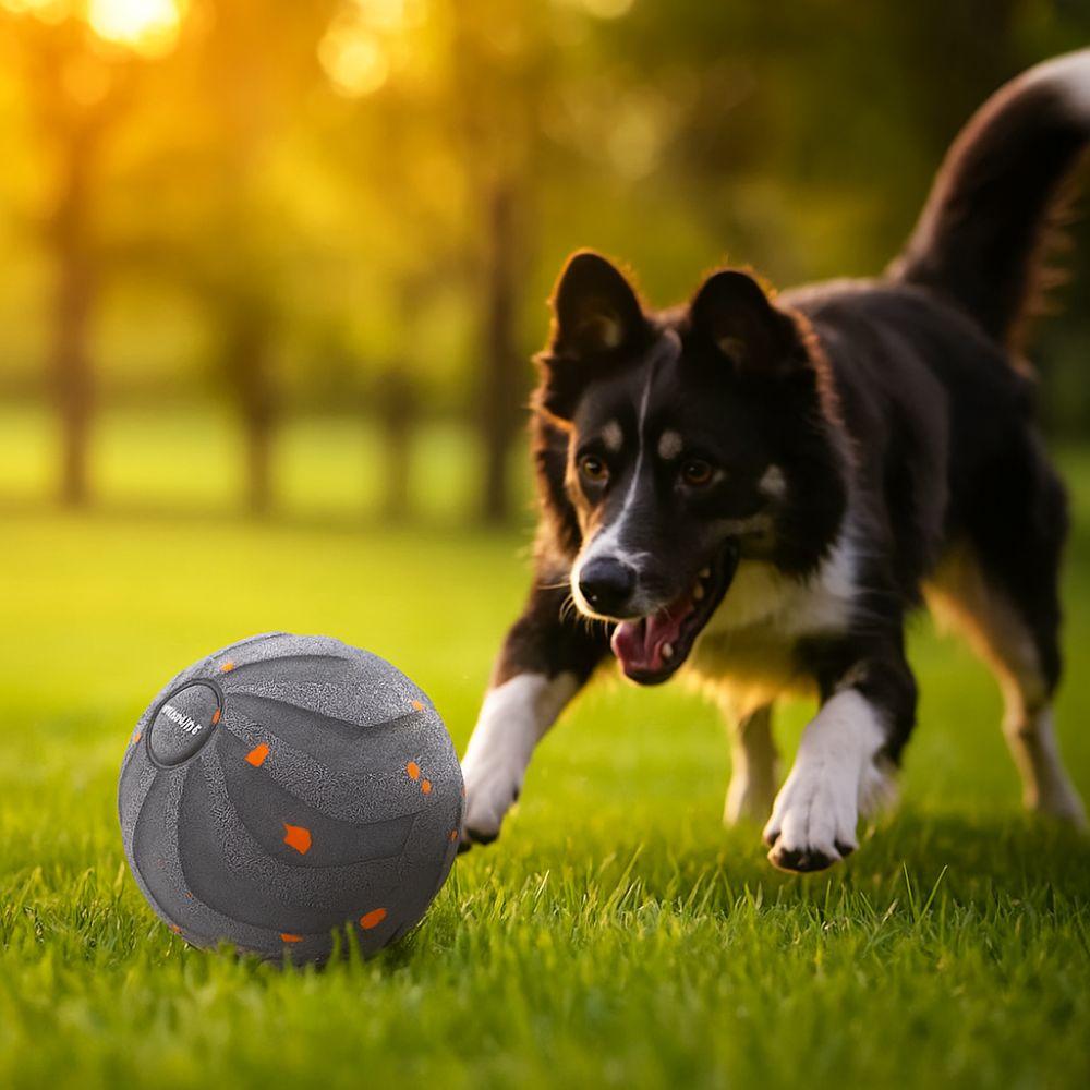 Bite Resistant Smart Dog Toy B - Automatic Moving Dog Ball 评论和价格