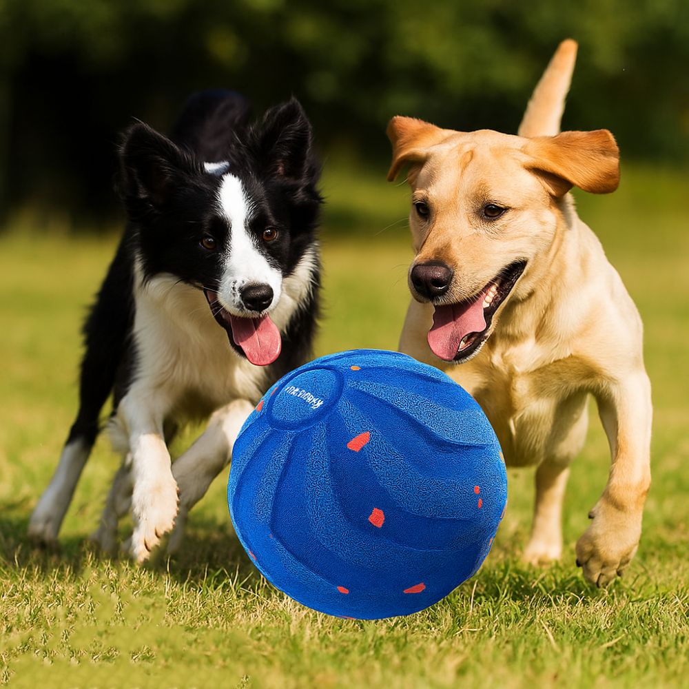 Bite Resistant Smart Dog Toy B - Automatic Moving Dog Ball 评论和价格