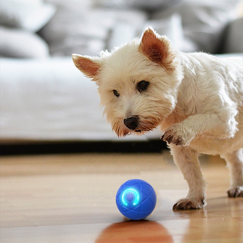 Smart Dog Toy Ball USB Automat - Suction Cup Dog Tug Toy 评论和价格