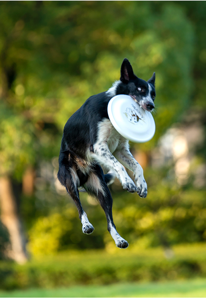 OUZEY Bite Resistant Pet Train - Flying Disc Dog Training Toy 评论和价格