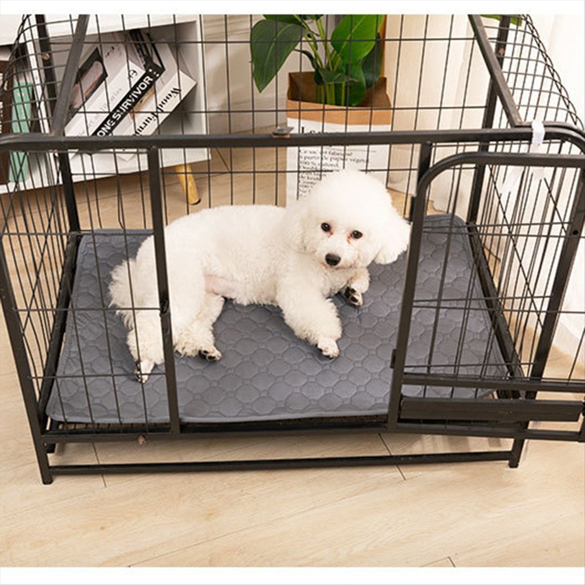 *A14E Reusable Blanket for Dog - Pet Beds 评论和价格