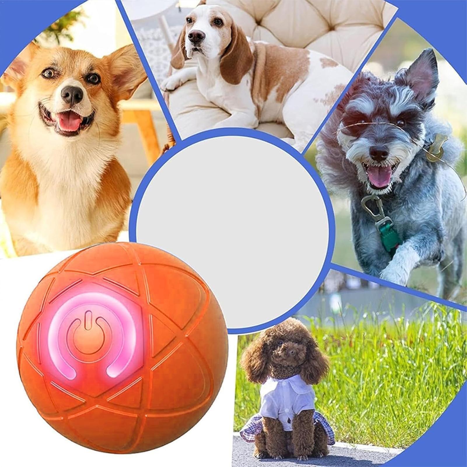 Smart Dog Toys Ball Electronic - Automatic Moving Dog Ball 评论和价格