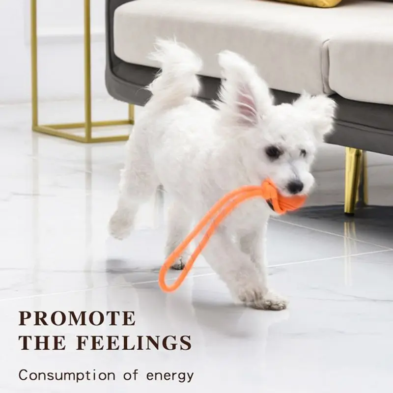 Dog Training Ball on Rope Cott - Suction Cup Dog Tug Toy 评论和价格