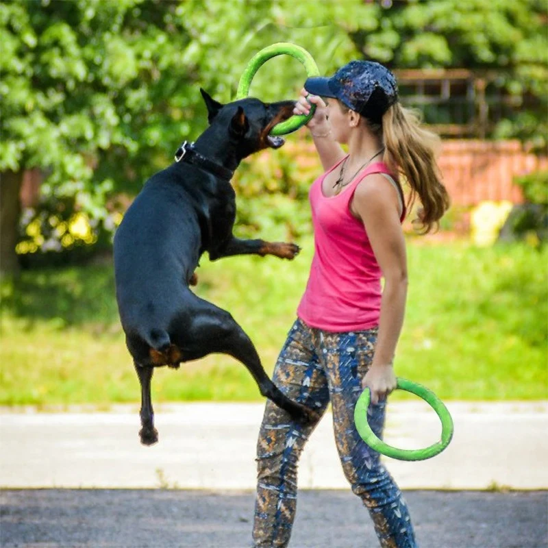Dog Toys Pet Flying Discs EVA  - Suction Cup Dog Tug Toy 评论和价格