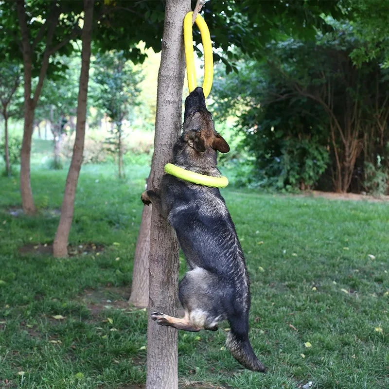 Dog Toys Pet Flying Discs EVA  - Suction Cup Dog Tug Toy 评论和价格