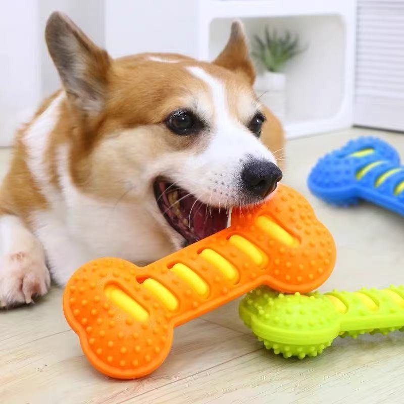 Durable Rubber Dog Chew Toy Sq - Teeth Cleaning Dog Chew Bone 评论和价格