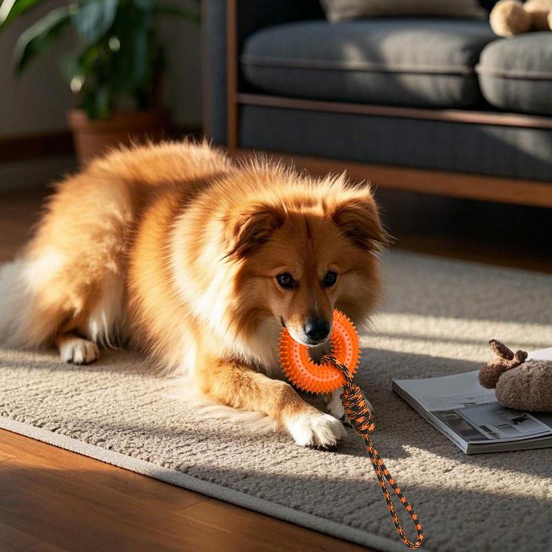 Squeaky Toys For Dogs Spiky Ri - Dog Rope Toy Aggressive Chewers 评论和价格