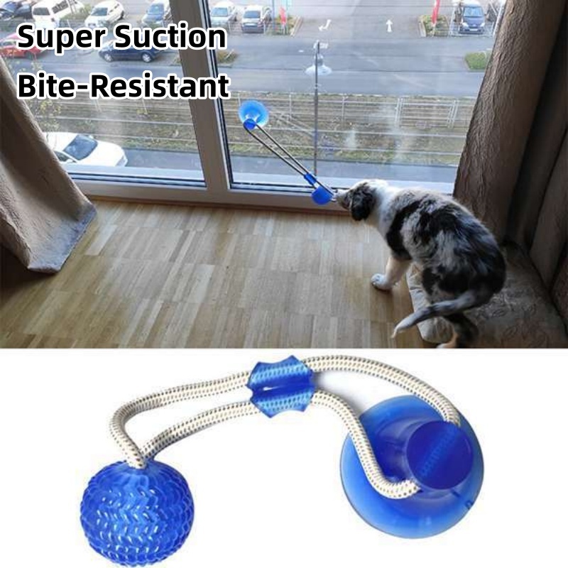 Durable Suction Cup Dog Tug To - Suction Cup Dog Tug Toy 评论和价格