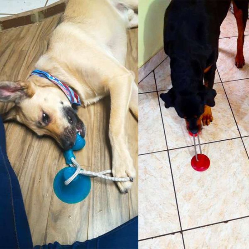 Durable Suction Cup Dog Tug To - Suction Cup Dog Tug Toy 评论和价格