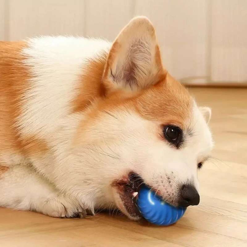 Automatic Moving Dog Toy Ball  - Automatic Moving Dog Ball 评论和价格