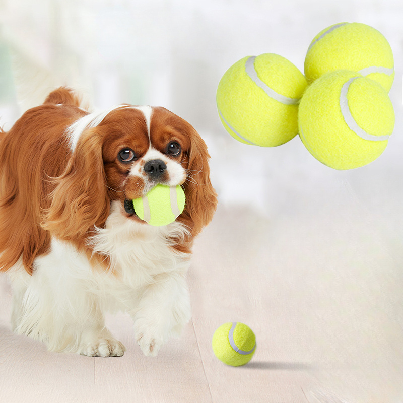 Interactive Striped Rubber Ten - Interactive Squeaky Plush Dog Toy 评论和价格