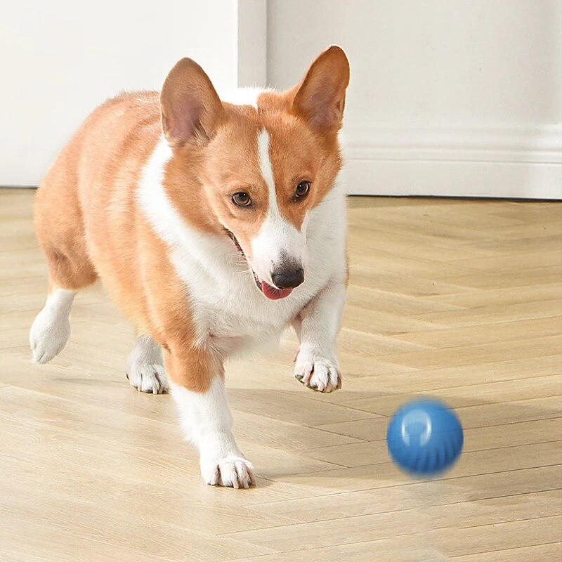 Dog Toys Intelligent Gravity J - Suction Cup Dog Tug Toy 评论和价格