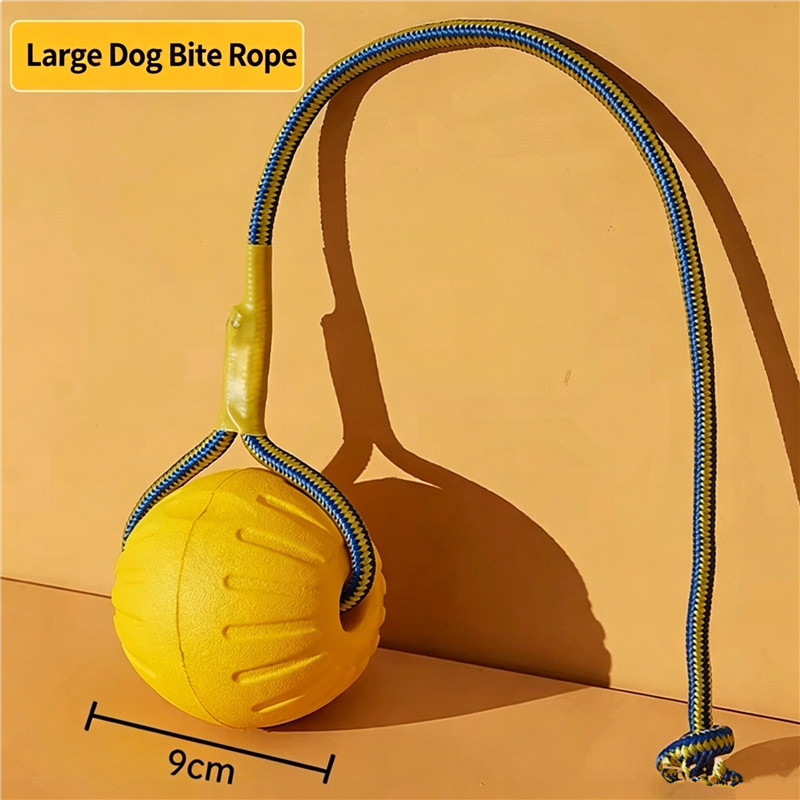 Interactive Dog Toy Ball with  - Indestructible Dog Chew Toy 评论和价格