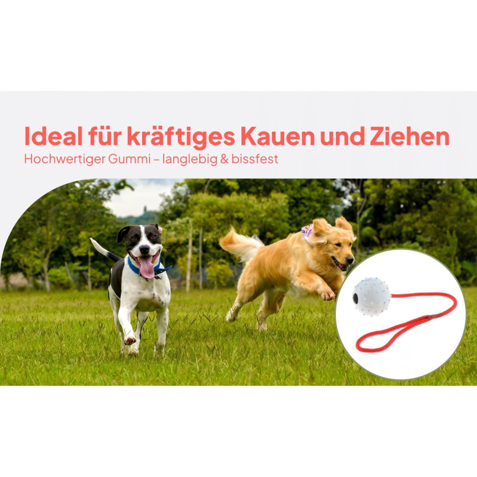 Pet Training Toy Soft Rubber C - Rubber Treat Dispensing Dog Toy 评论和价格