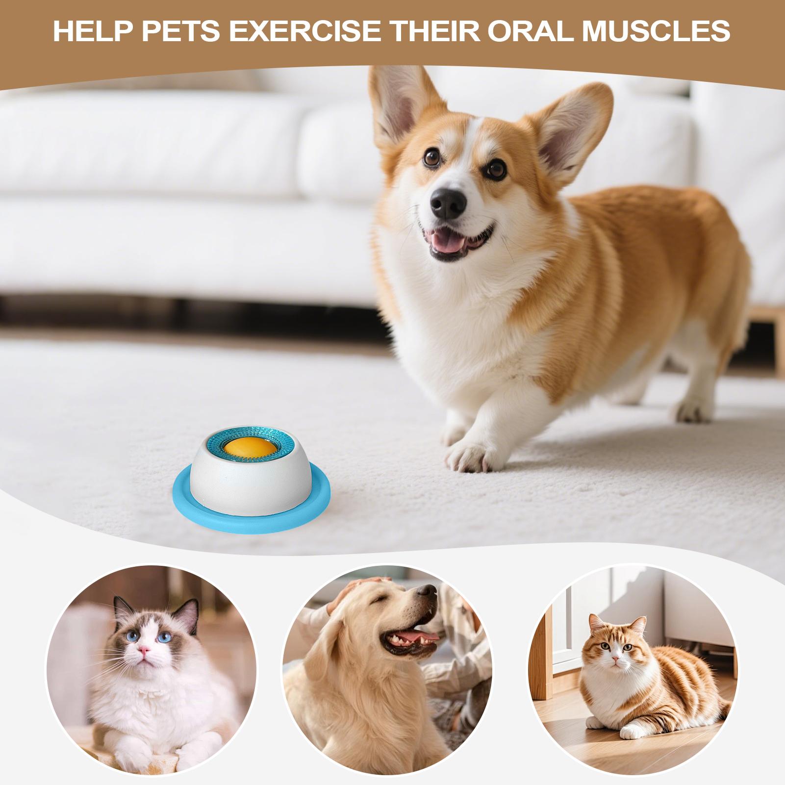 Pet Feeding Accessories Dog Tr - Dog Puzzle Feeder Toy 评论和价格